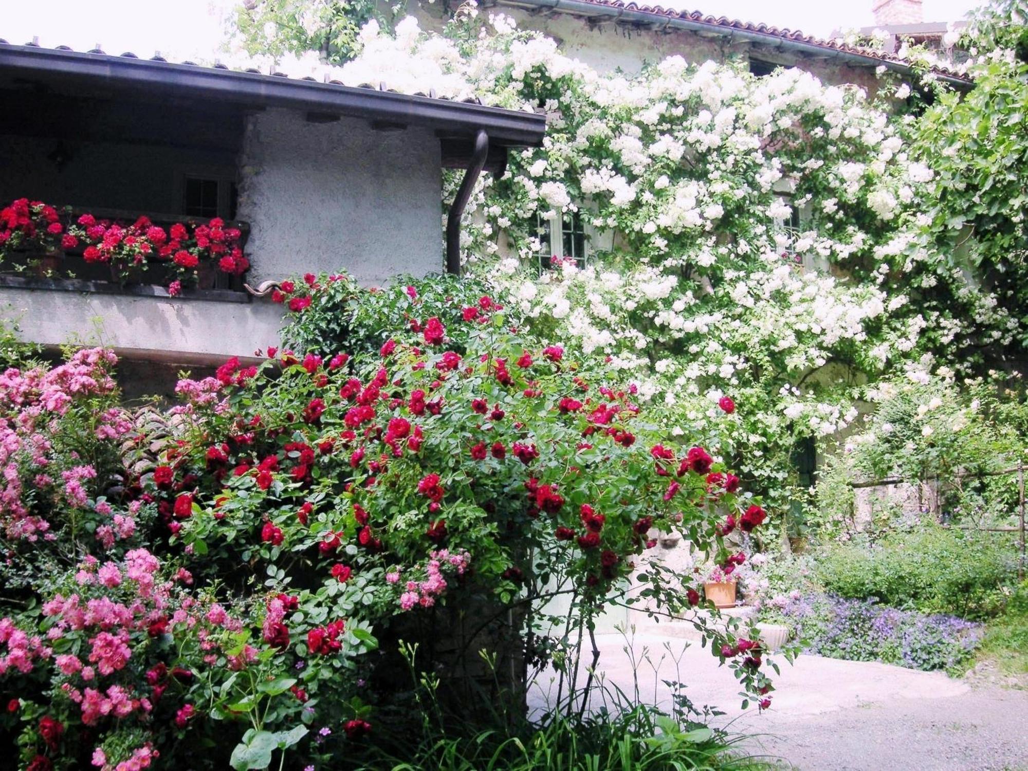 La Traversina Stazzano Kültér fotó